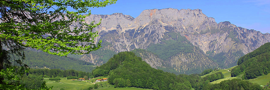 Scheffau