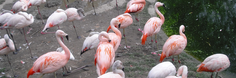 Tierpark